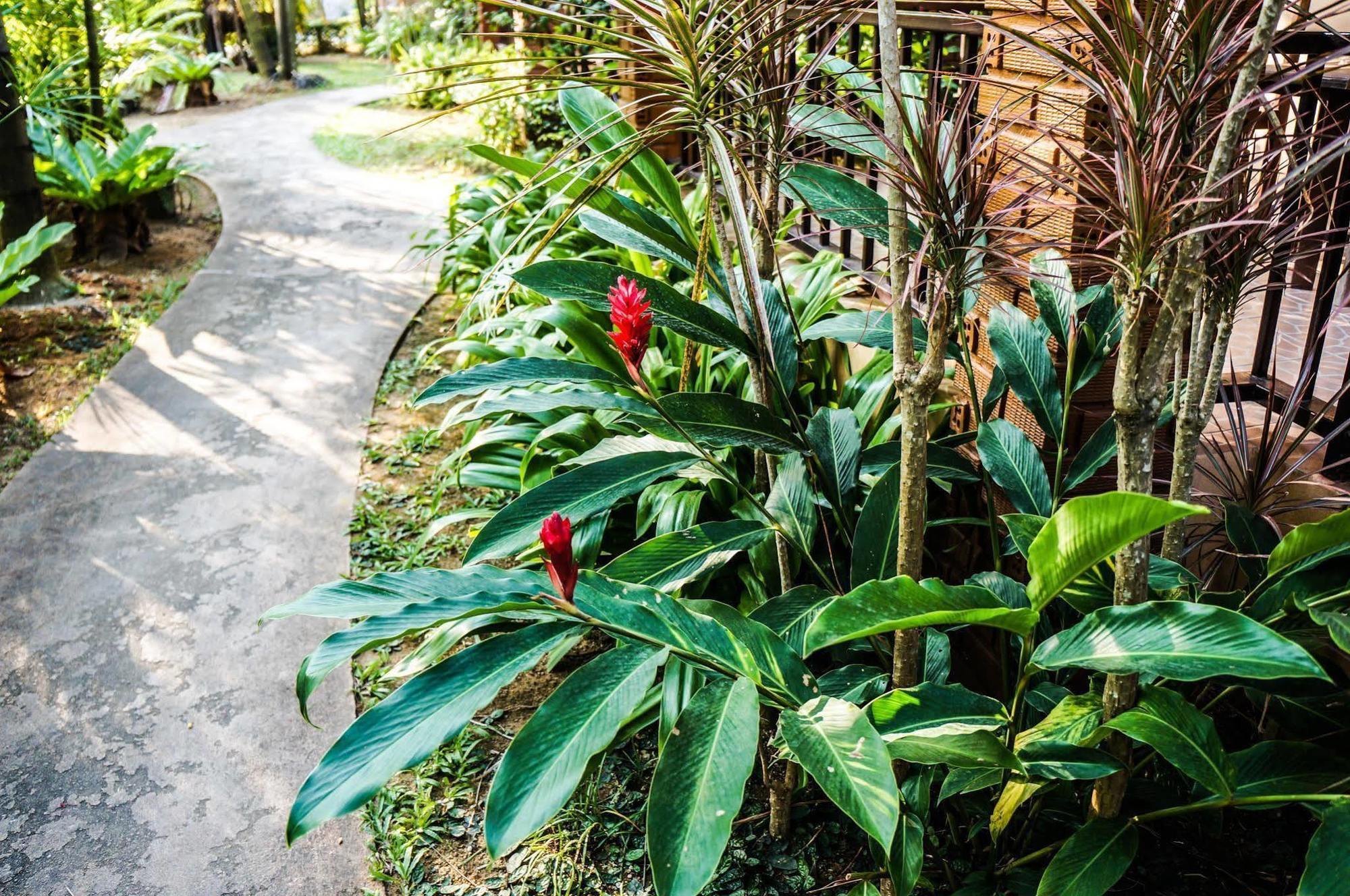 Tanamas House Hotel Thalang Buitenkant foto